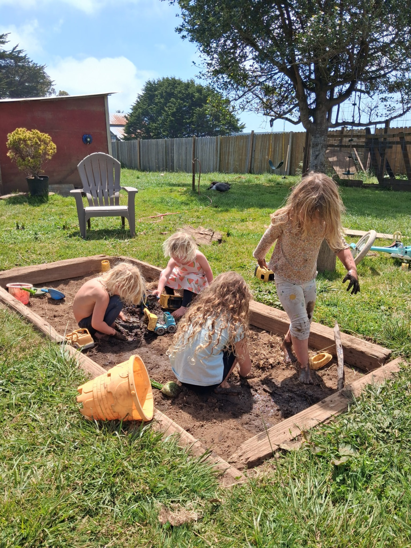 Children digging together in a sunny backyard sand and mud pit at a nature-based outdoor school in McKinleyville, California