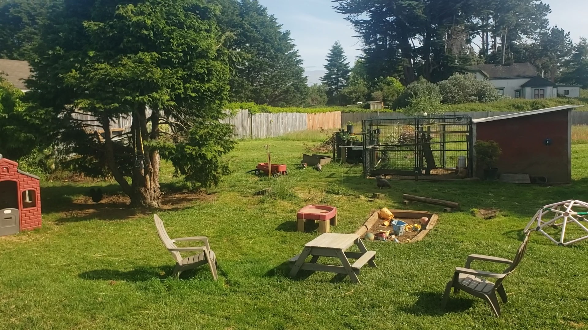 A green Humboldt County backyard in morning light with play structures, garden beds and a red shed