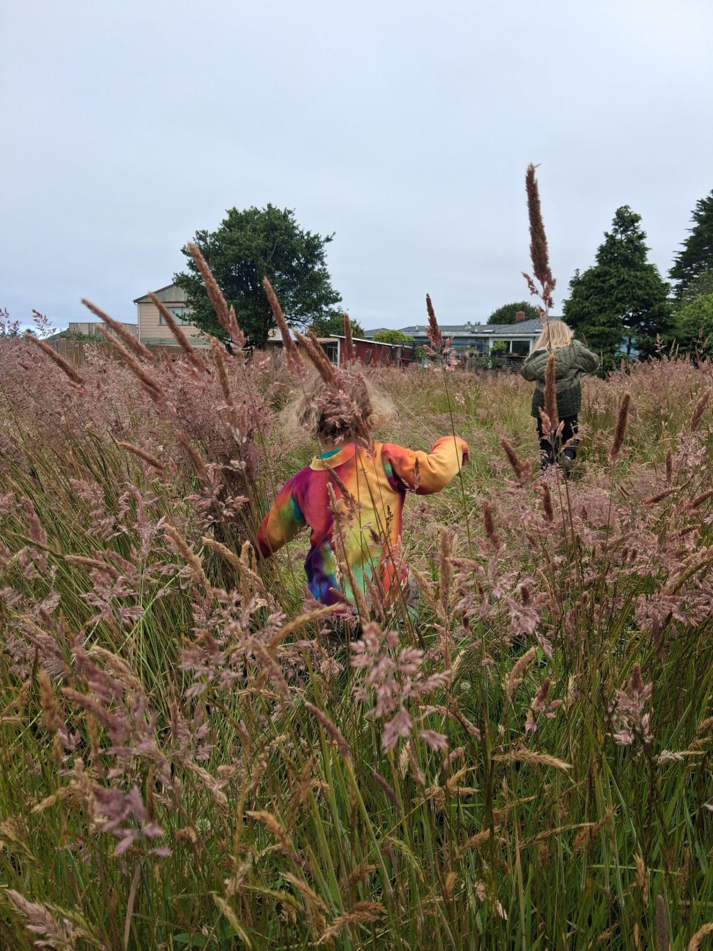 Two children walking through a tall grass field in McKinleyville, Humboldt County