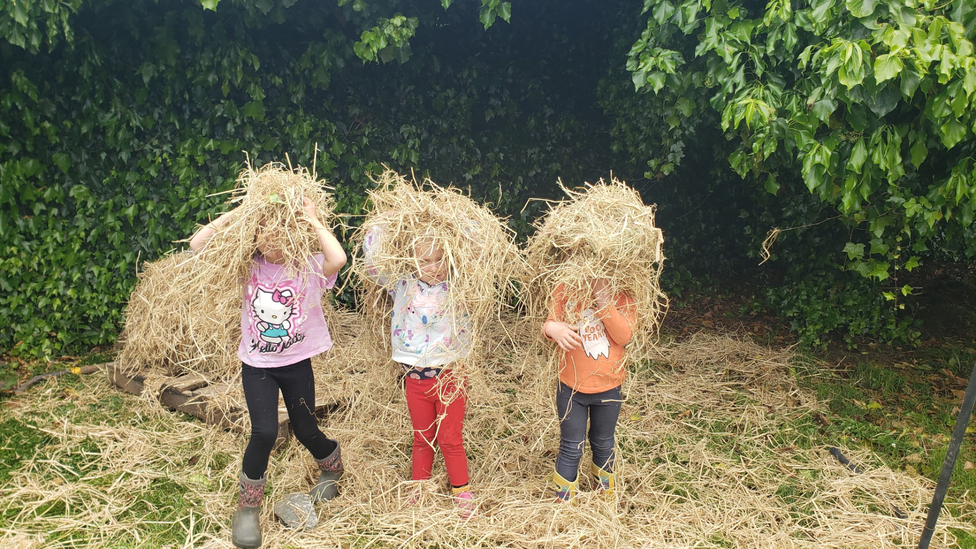 Three children laughing under armfuls of straw during outdoor play at a forest school in Humboldt County