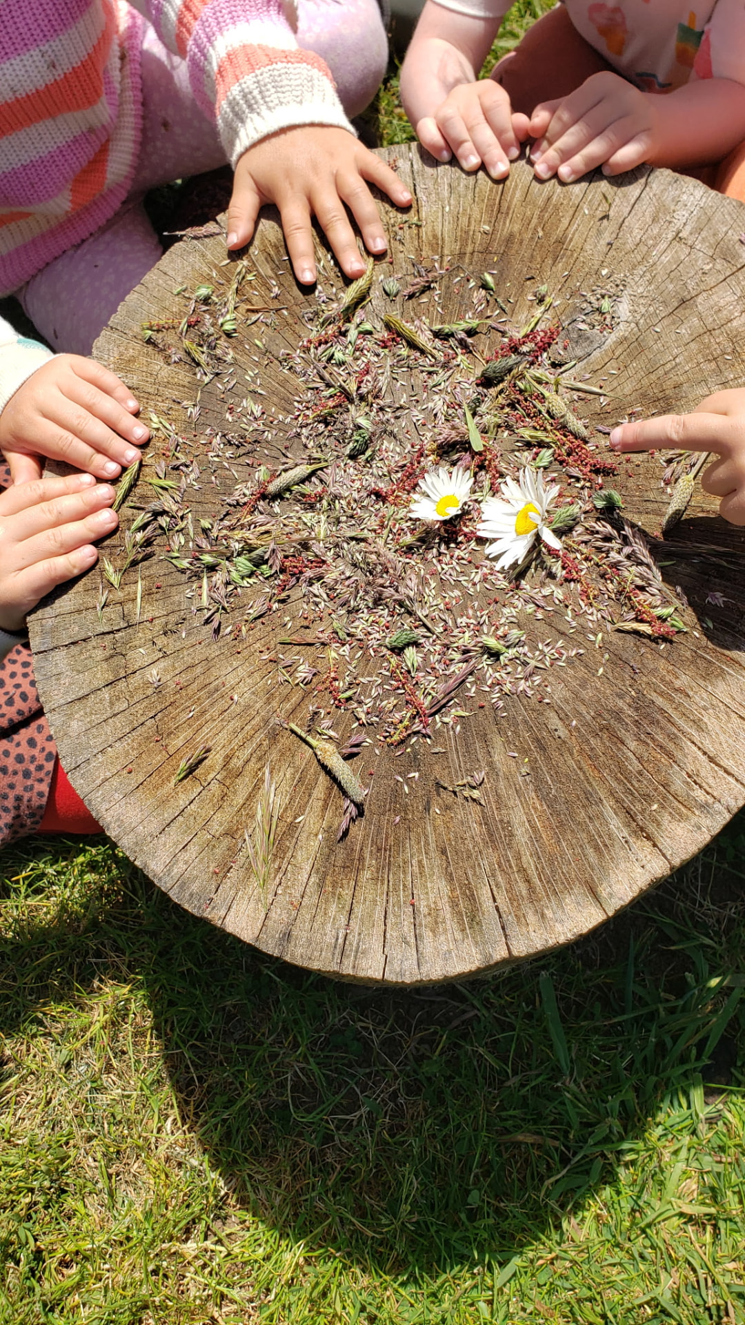 Children's hands arranging wildflowers and seed heads on a wooden stump table