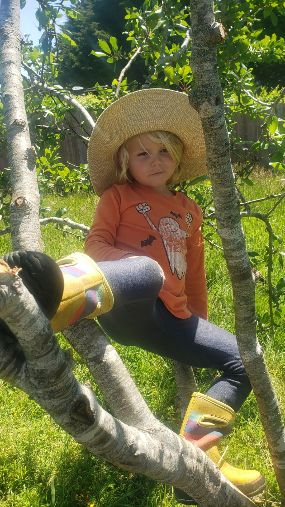 A child in a straw sun hat resting in the branches of a backyard tree in Humboldt County
